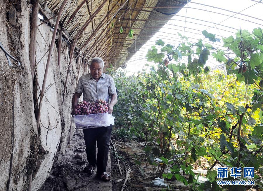 （寧夏60年）（5）寧夏中衛：科學治沙顯成效